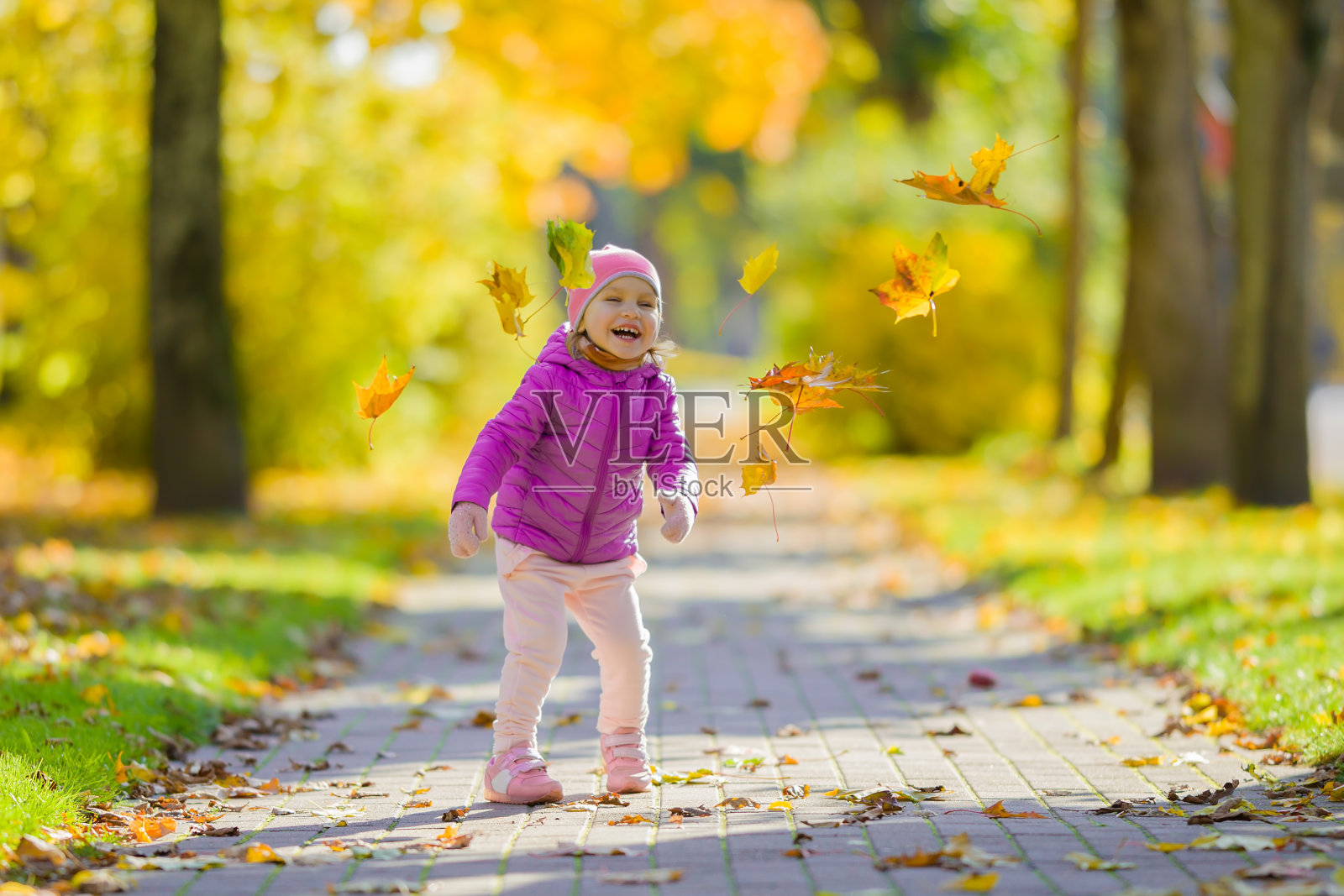 小女孩在城市公园的人行道上看到枫叶飞舞，感到很开心。孩子享受着多彩的阳光灿烂的秋日。前视图。照片摄影图片