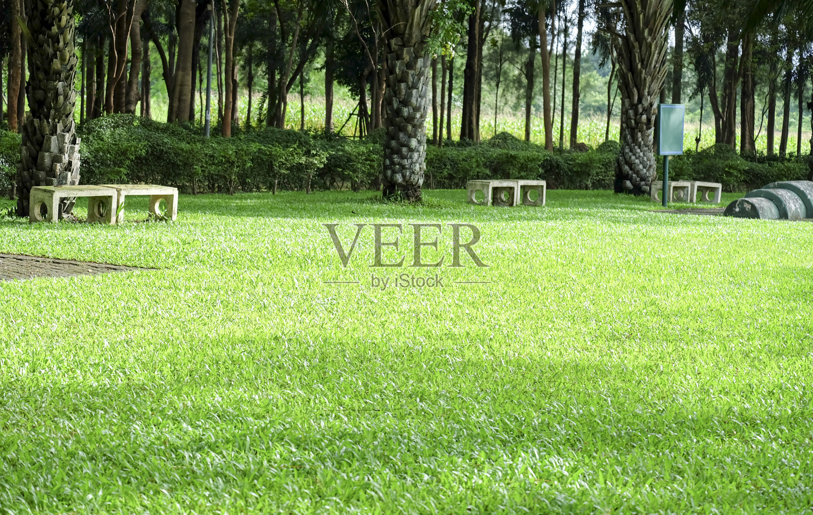 有供人们坐着放松的混凝土椅子的草坪。照片摄影图片