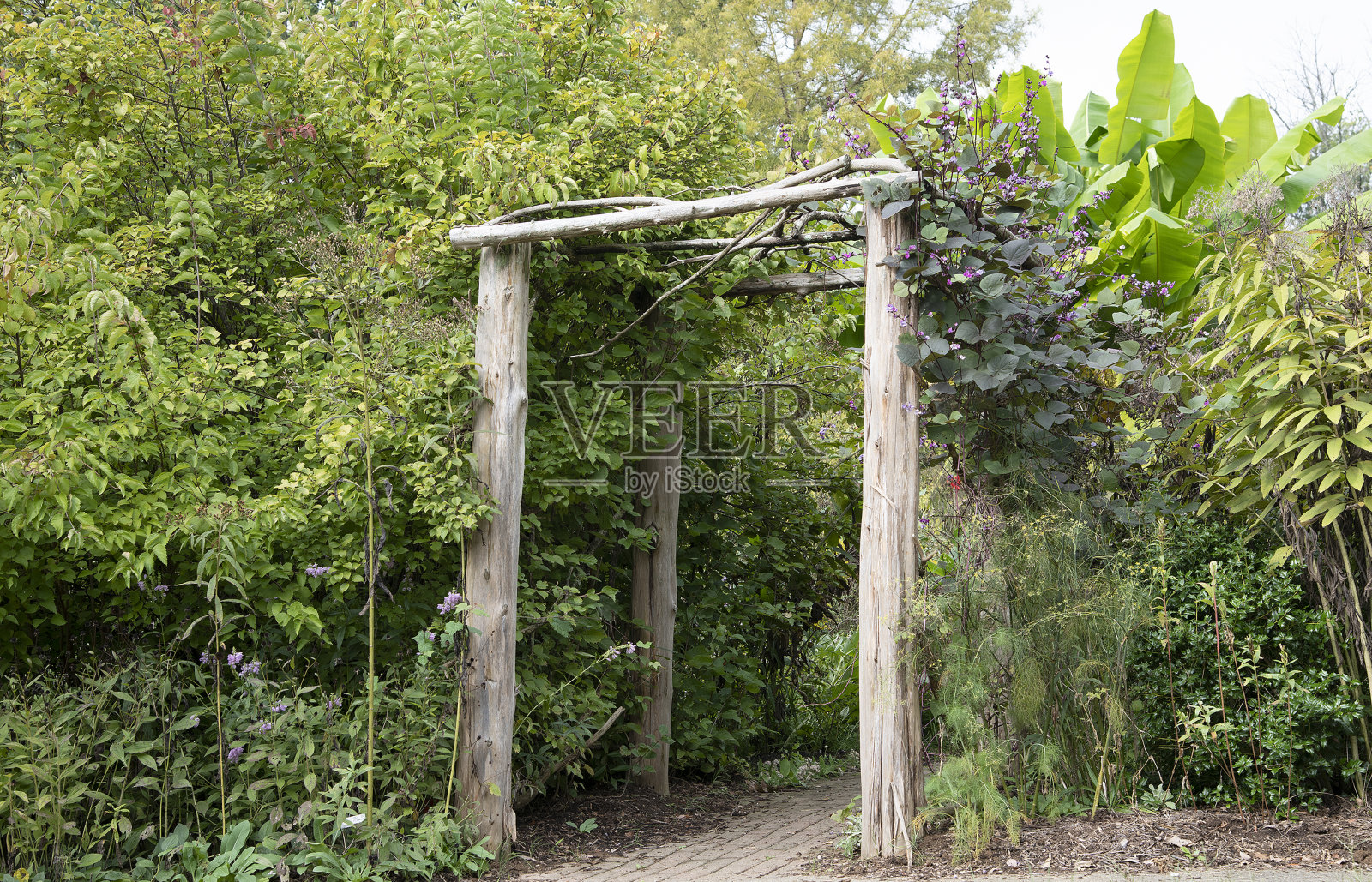 肯塔基州的帕克兰风景照片摄影图片