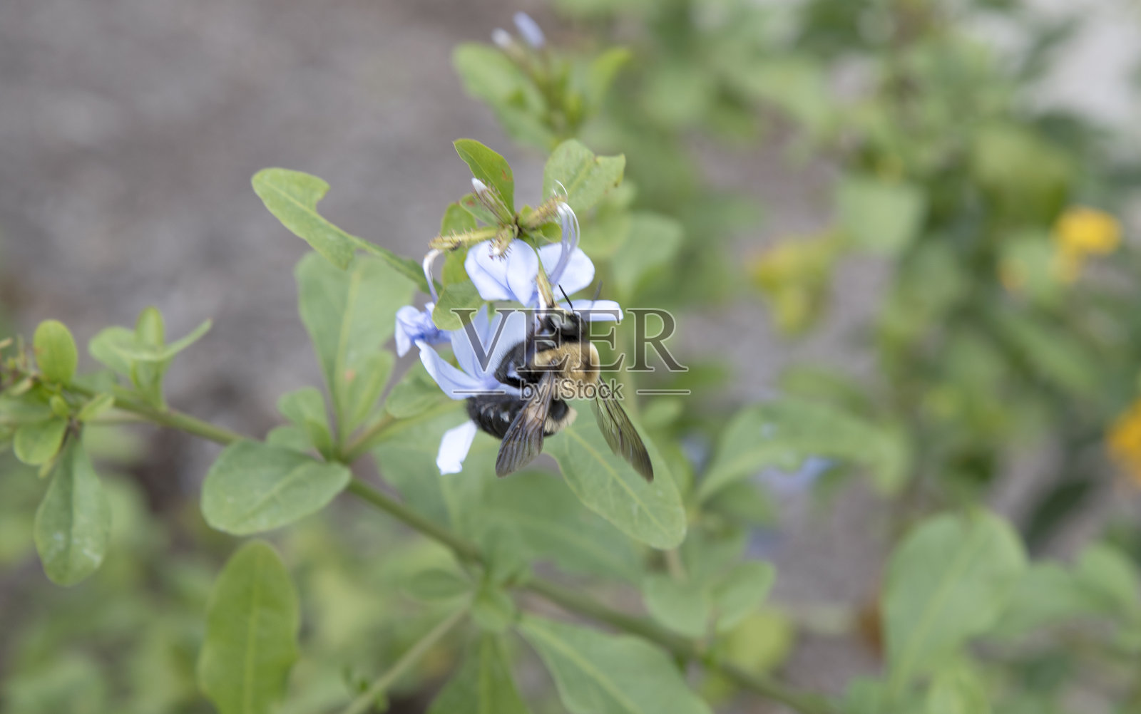 肯塔基州的帕克兰风景照片摄影图片