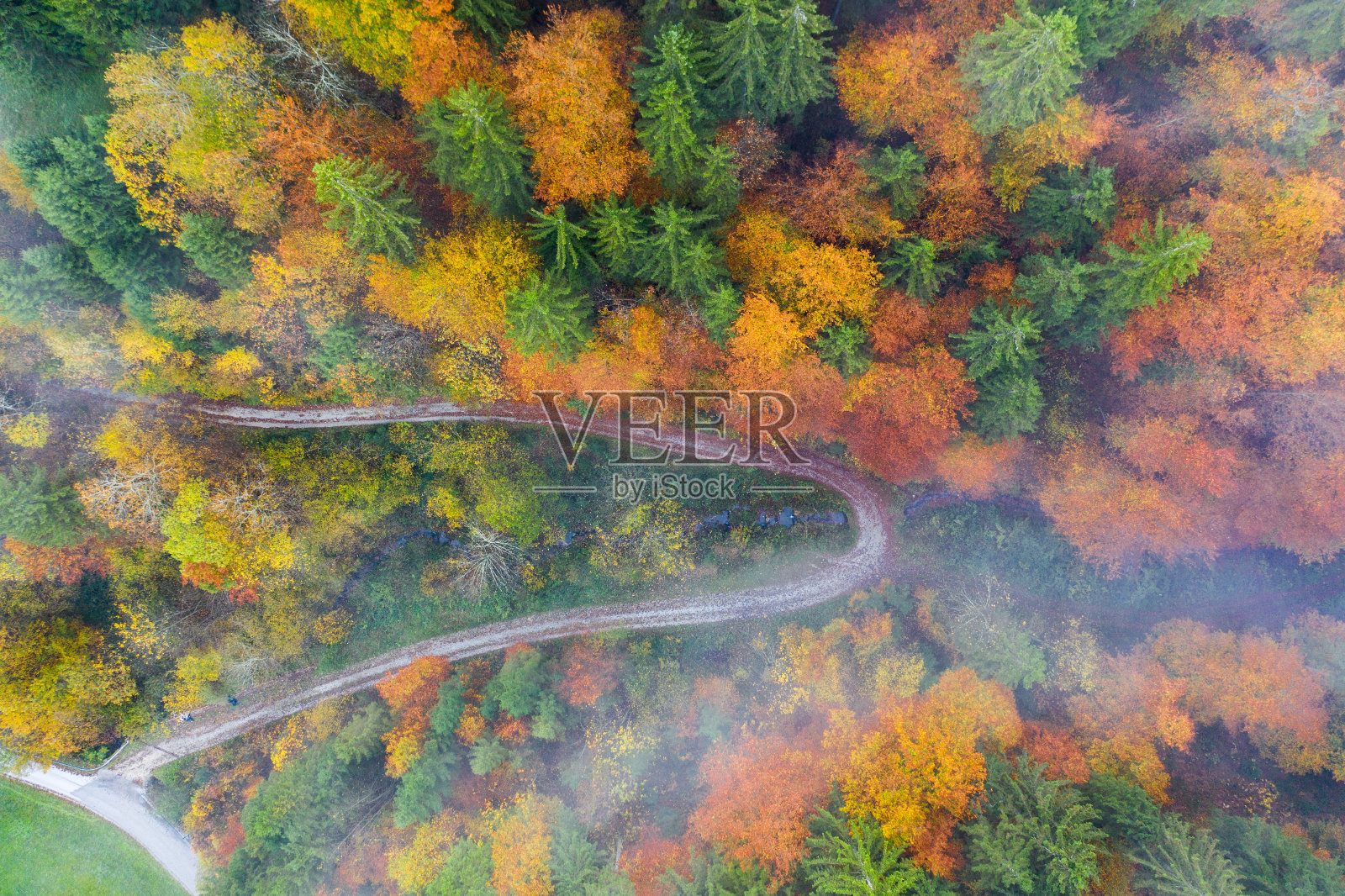 鸟瞰图的道路在五颜六色的树木。秋天的斯洛文尼亚照片摄影图片