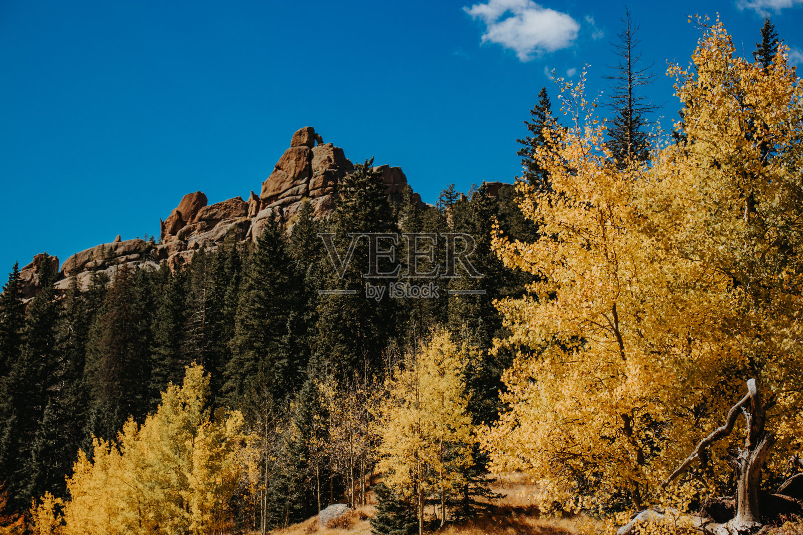 山上被落叶包围的露出地面的岩石照片摄影图片