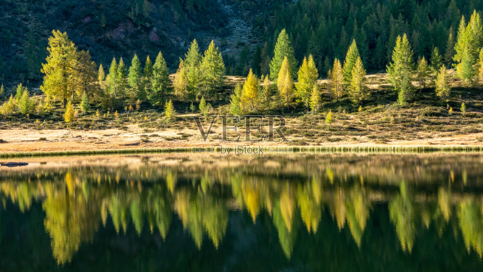 意大利阿尔卑斯山的秋天。照片摄影图片