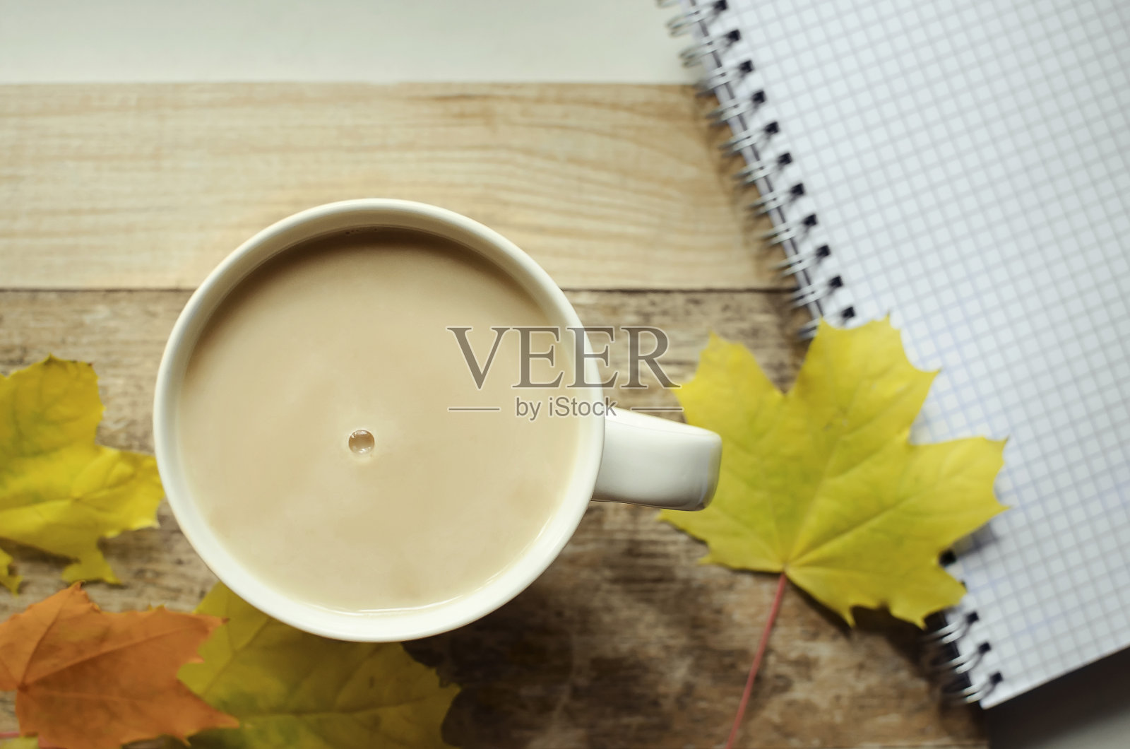 一杯热可可，背景是黄色的秋叶和一本白色的笔记本。前视图。照片摄影图片