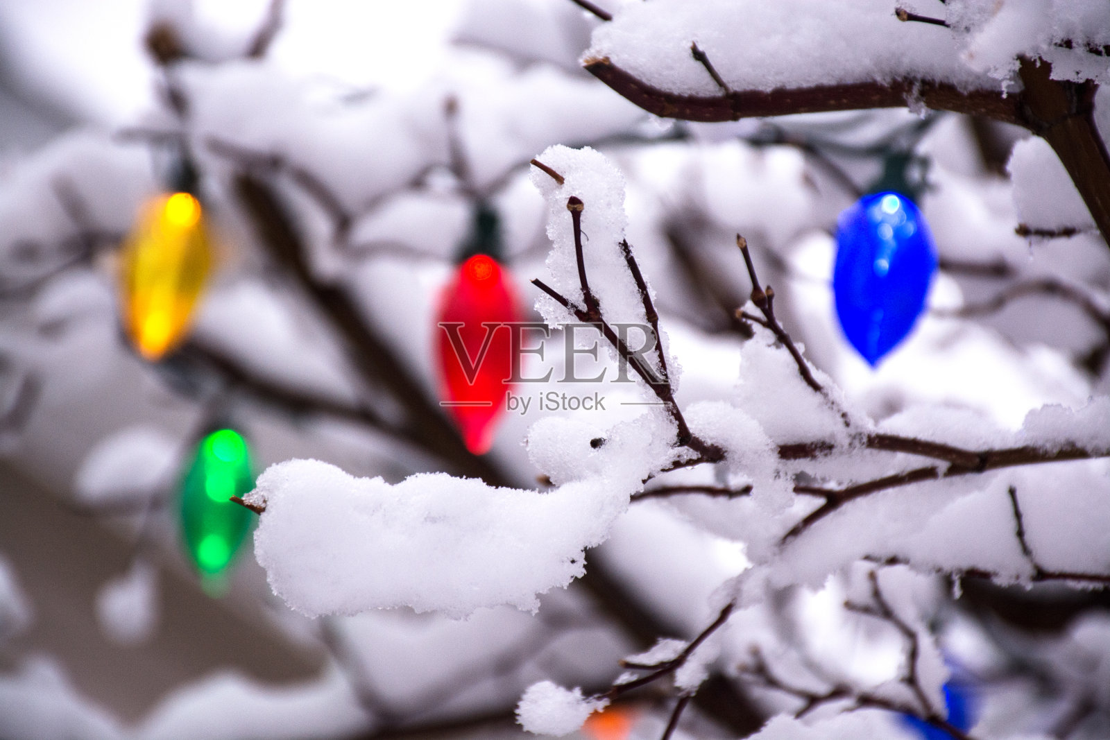 圣诞树上的圣诞彩灯。圣诞节装饰颜色多样。照片摄影图片