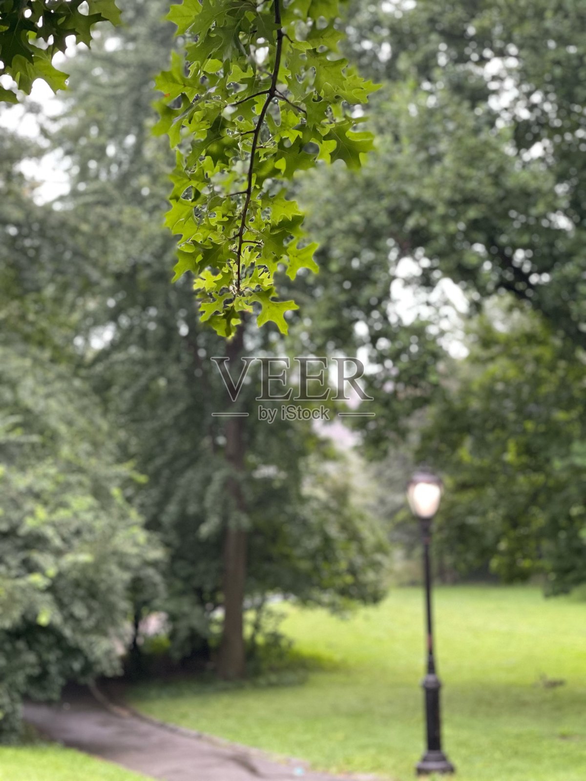 路灯柱照片摄影图片