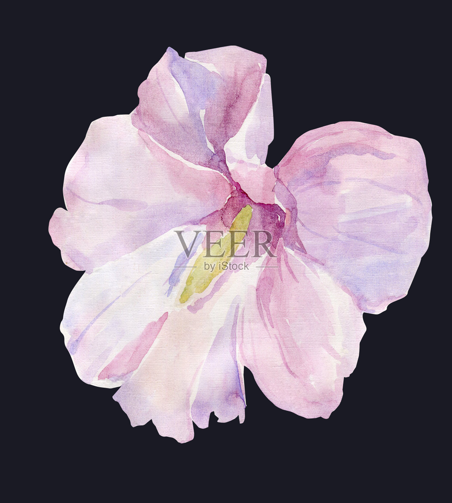 水彩花行话。插画图片素材