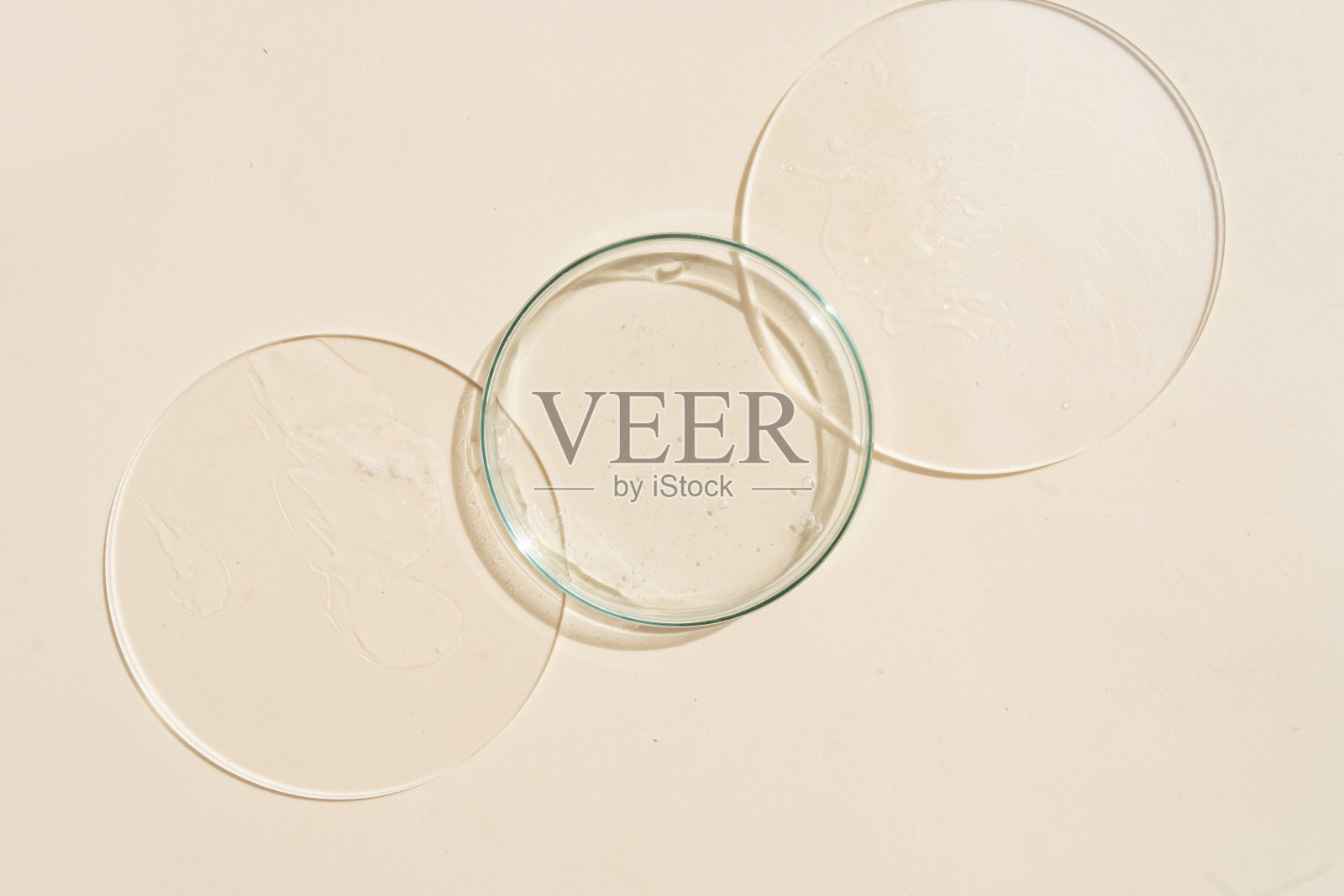 玻璃培养皿与透明的纯血清皮肤护理照片摄影图片