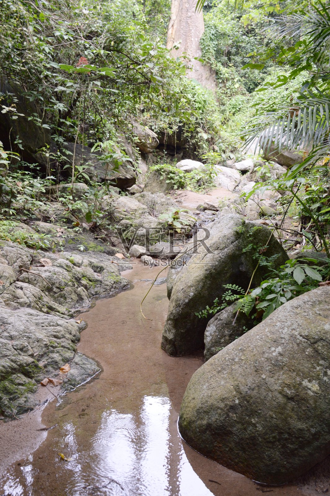 泰国自然森林中的瀑布照片摄影图片