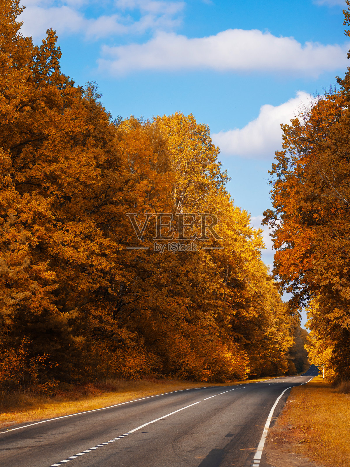 秋天森林路城外照片摄影图片
