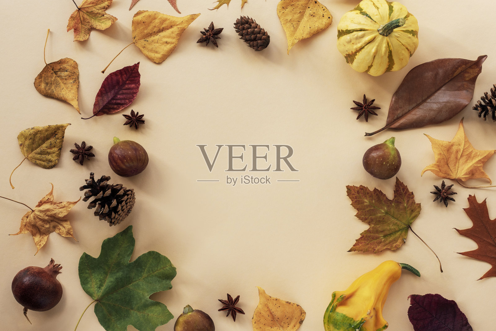 秋天的叶子，无花果果实，球果，八角和南瓜的框架与复制空间米色背景。俯视图，平躺照片摄影图片