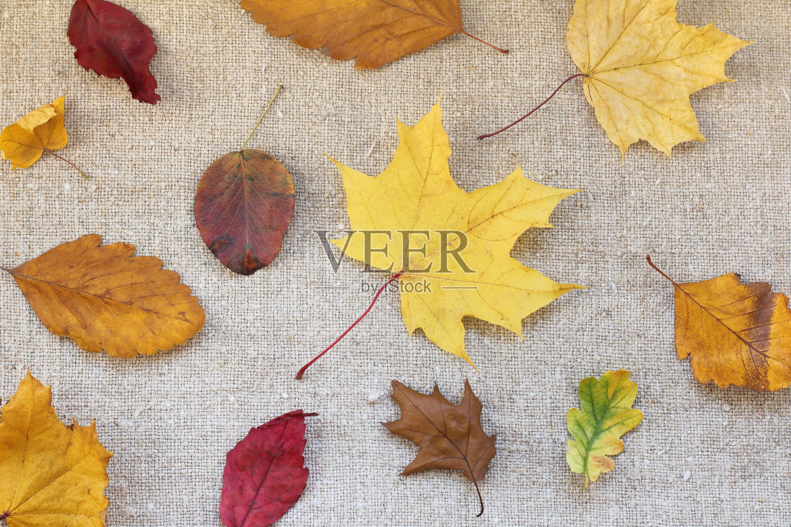 秋天背景照片摄影图片