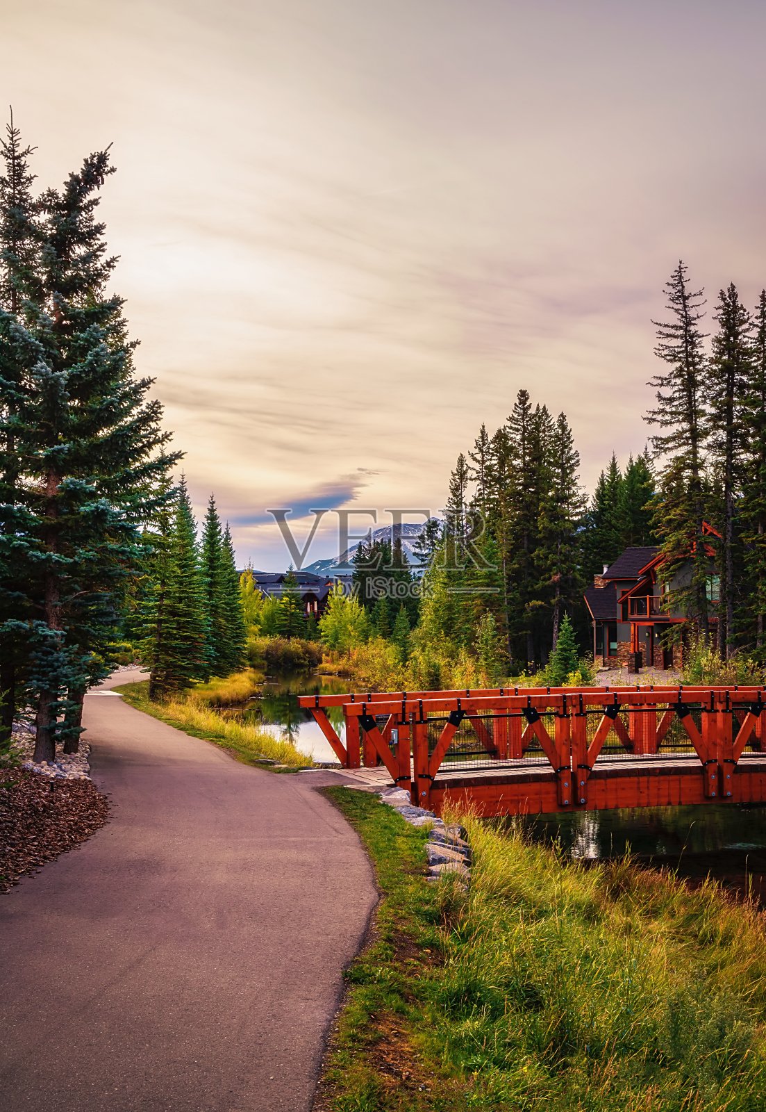 坎摩尔公园小路上的日出照片摄影图片