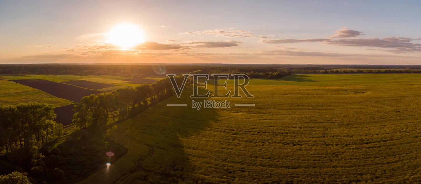 对比的照片在农村的农田在日落照片摄影图片