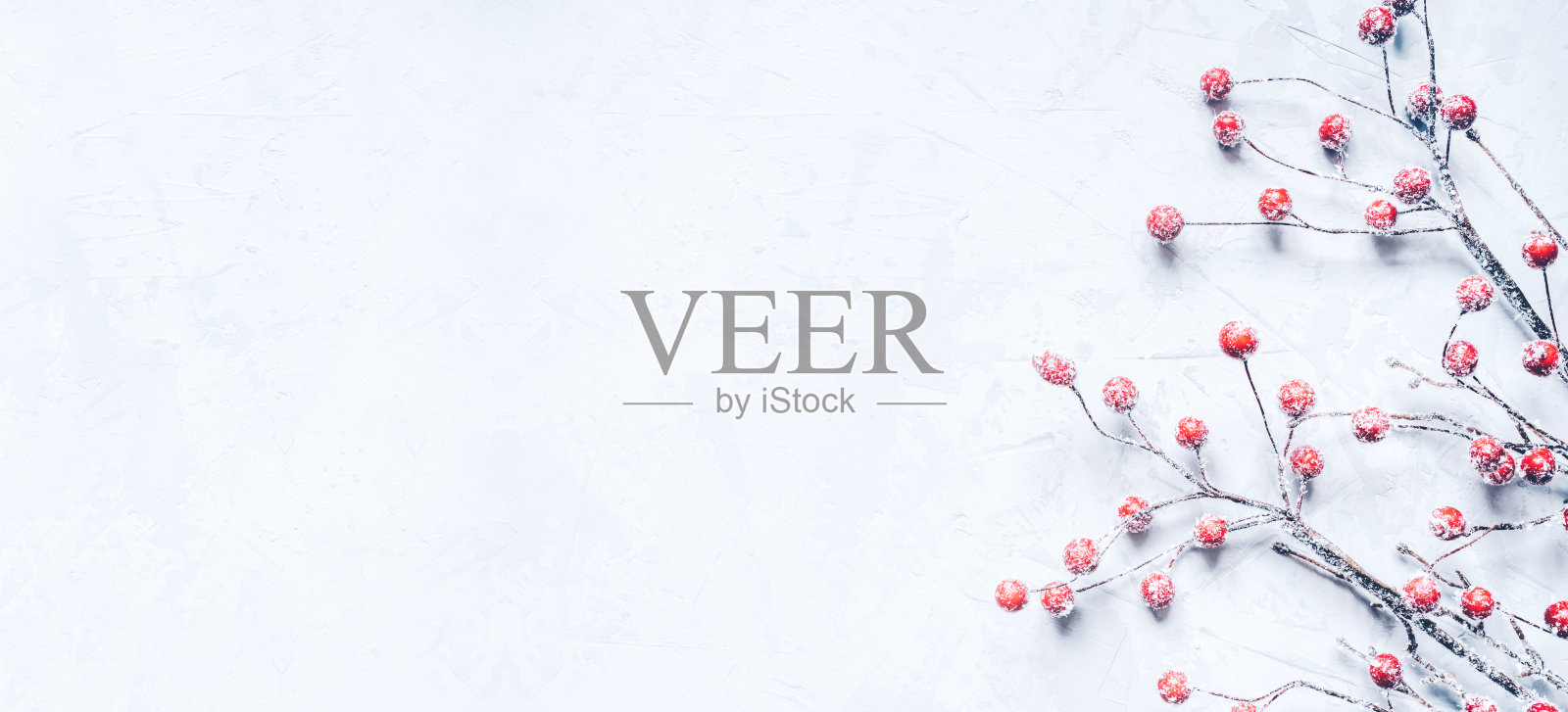 圣诞背景白雪覆盖的树枝上结满了浆果。照片摄影图片