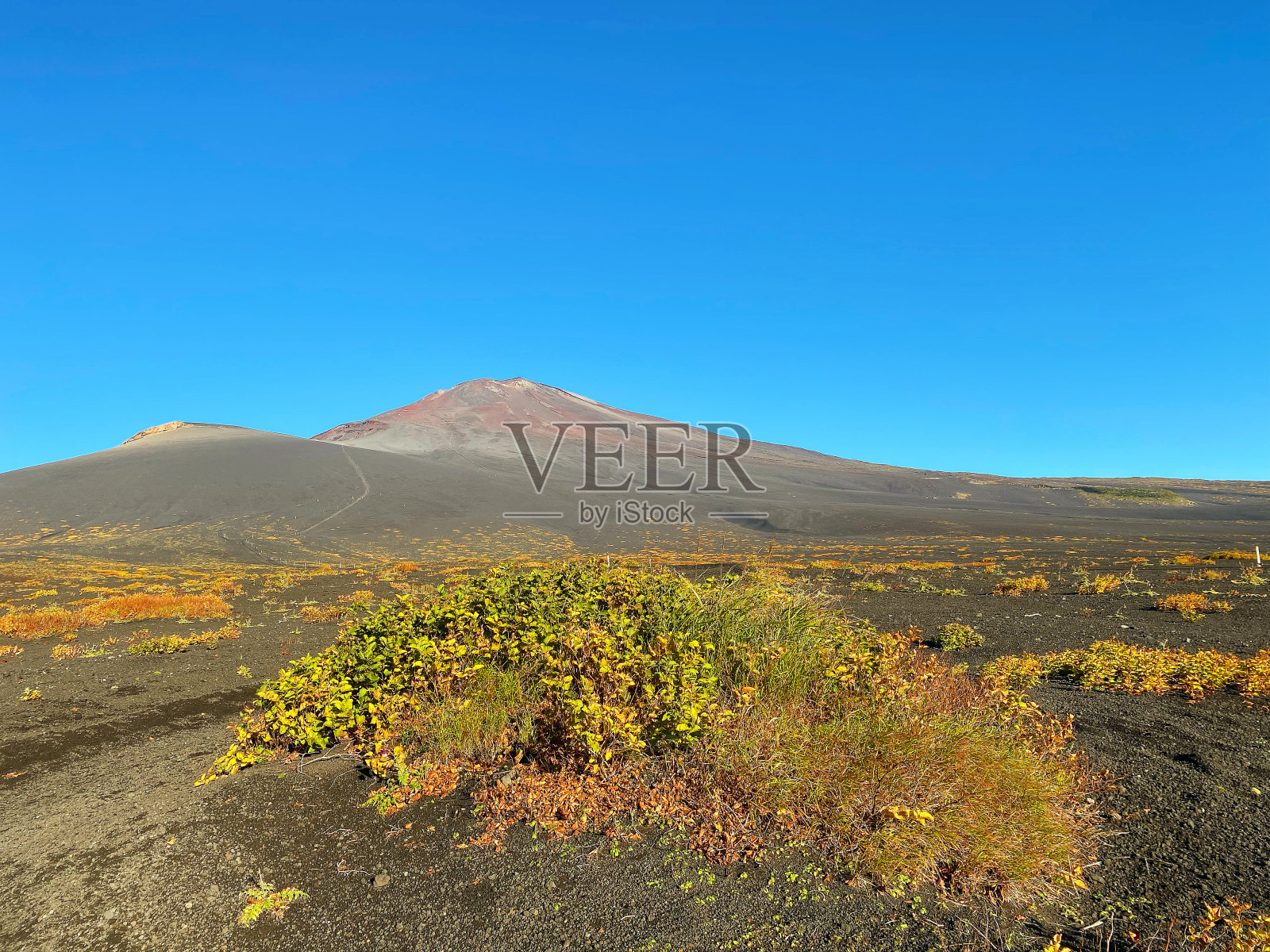 蓝天映衬下的风景照片摄影图片