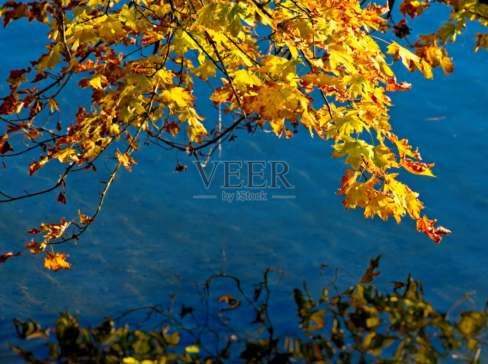 秋天照片摄影图片