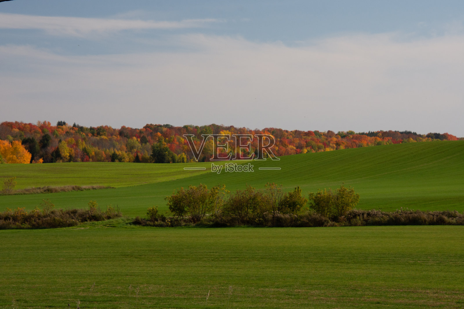 加拿大乡村的秋色照片摄影图片