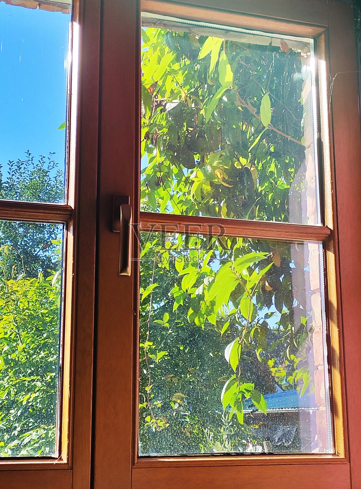 阳光透过窗户照进来照片摄影图片