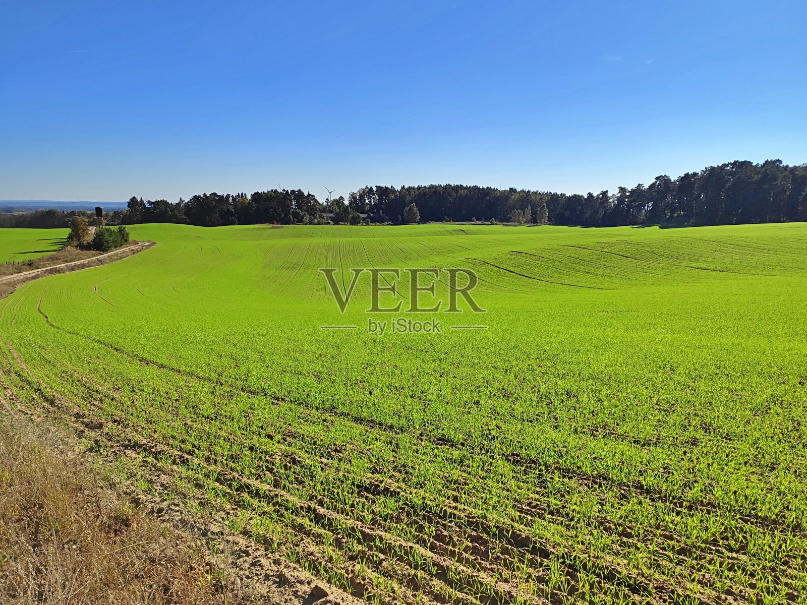 阳光明媚的秋日里的美丽风景照片摄影图片