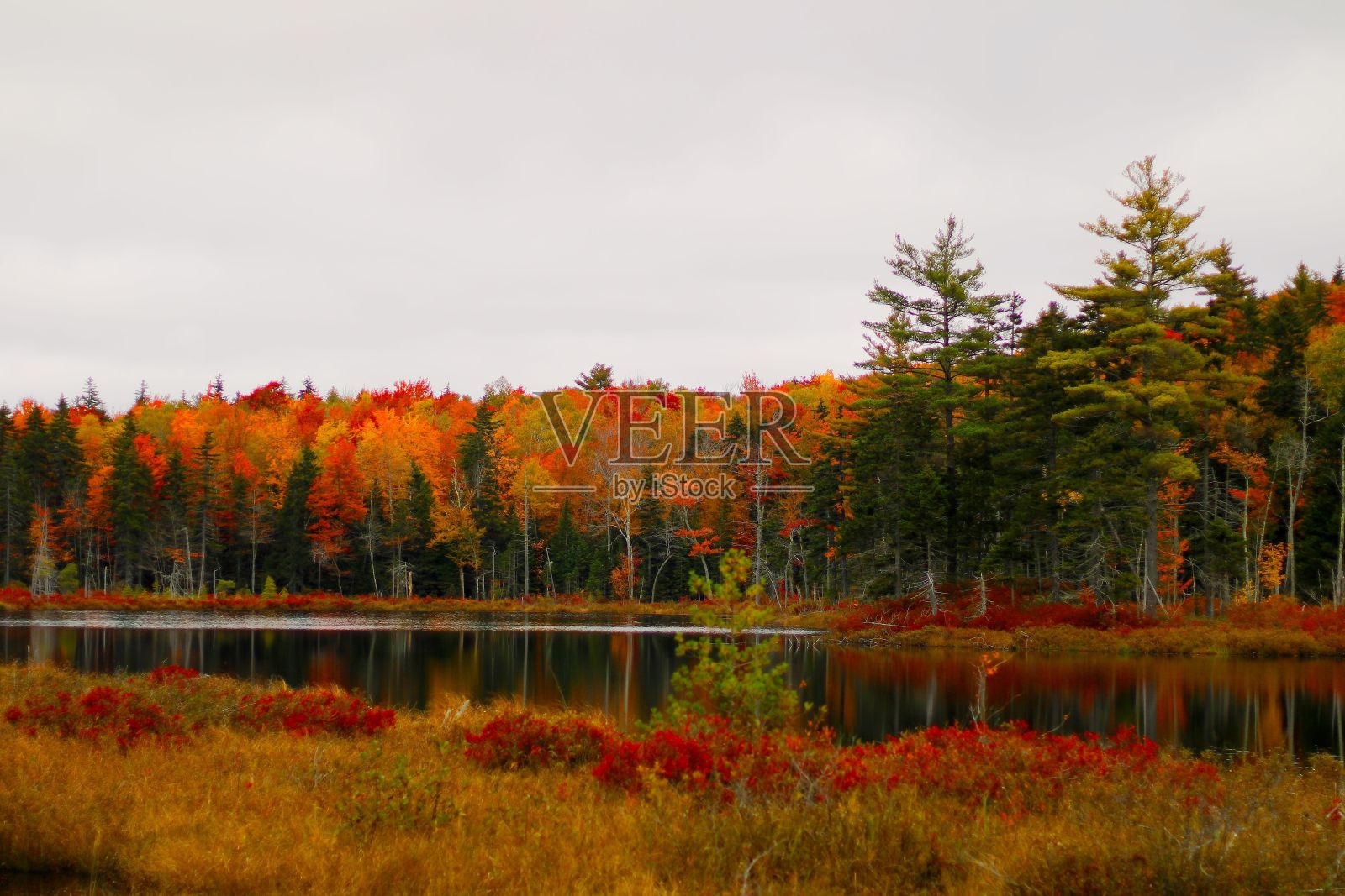新英格兰秋色照片摄影图片