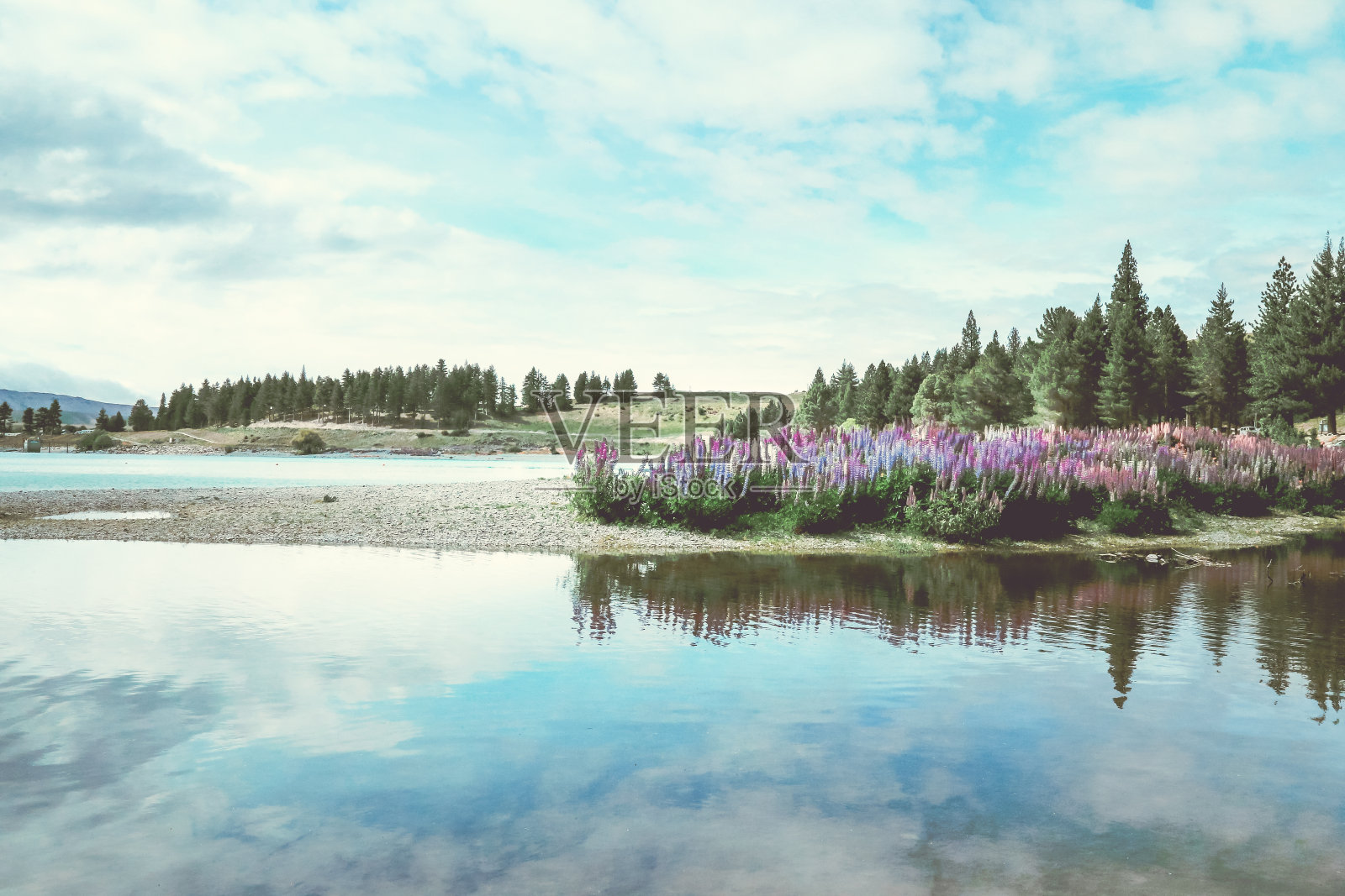 湖在新西兰照片摄影图片