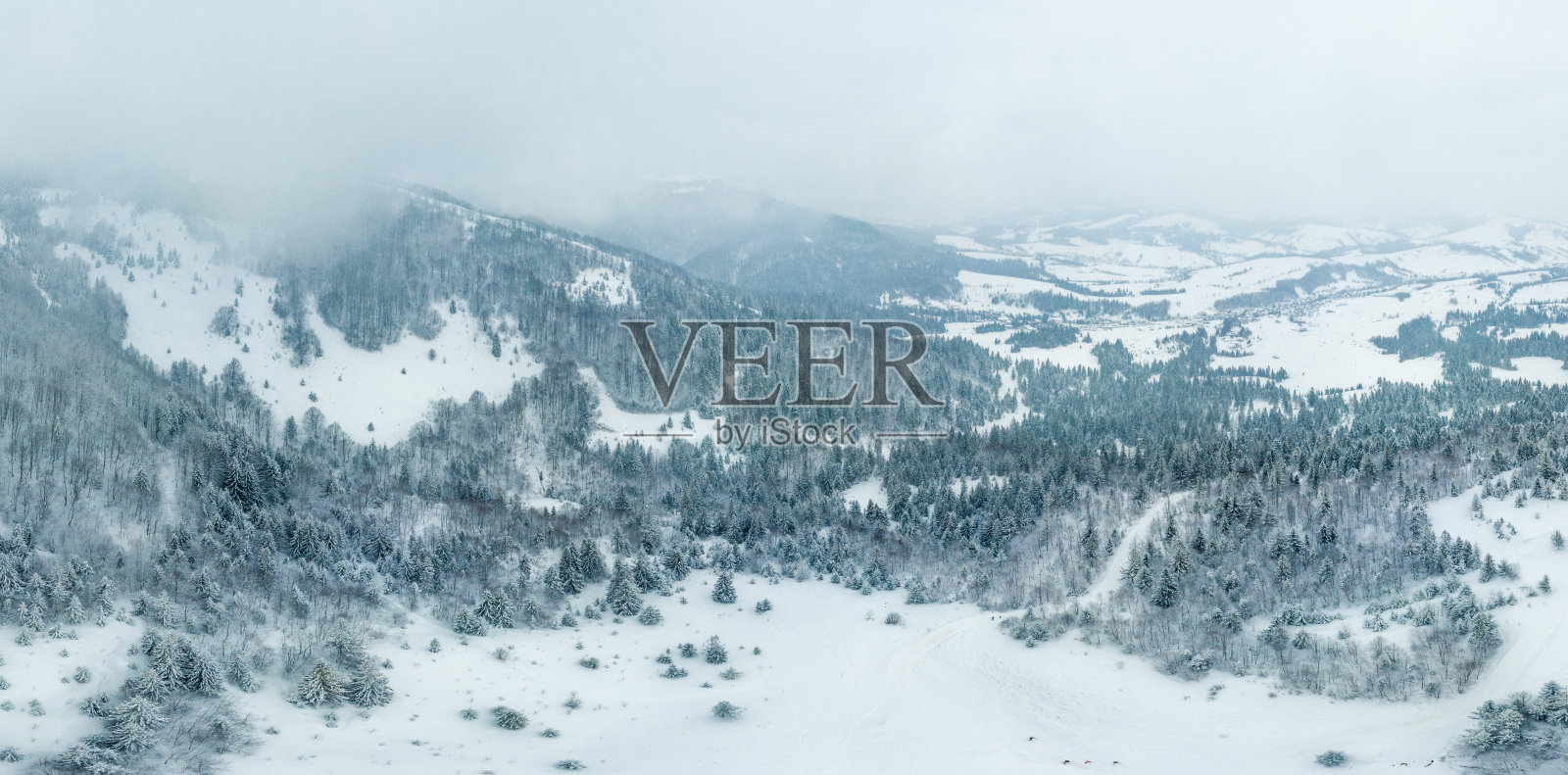 冬天的风景在雾与雪和树枝覆盖着白霜和冰冻的雪。高质量的照片照片摄影图片