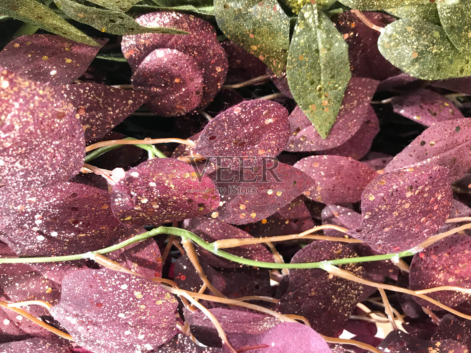 秋天的背景红色的枫叶从一个俯视图照片摄影图片