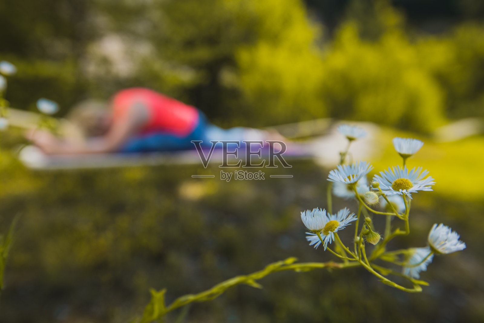 一个女人练习瑜伽的图像在模糊的背景与白色黄色的花在前景的焦点。复制瑜伽训练的空间。照片摄影图片