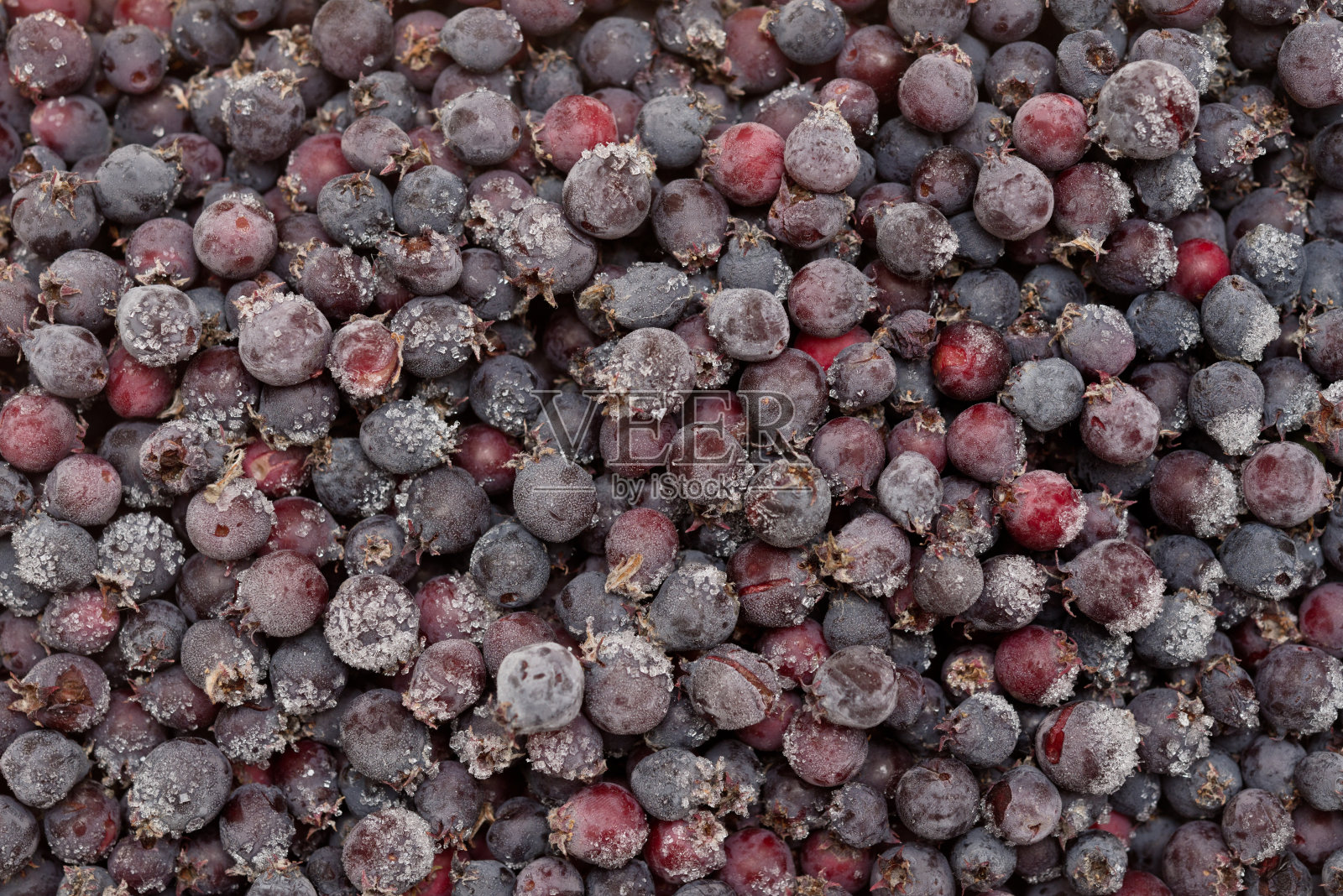 冷冻saskatoonberry照片摄影图片