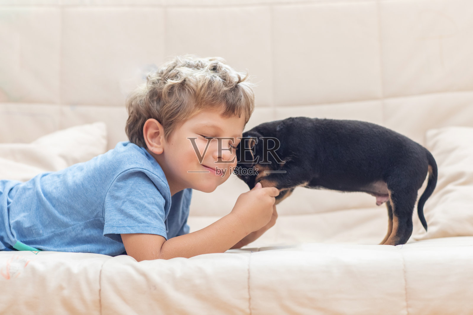 乌克兰，一个男孩带着一只小狗在家里玩耍照片摄影图片