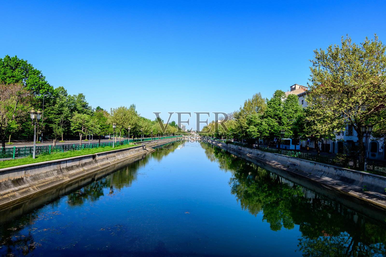 在一个阳光明媚的春天，罗马尼亚首都布加勒斯特市中心的丹波维塔河附近有大片绿色的老树和湛蓝的天空照片摄影图片