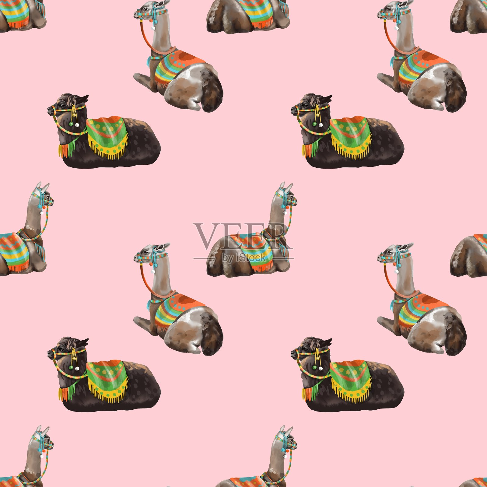 喇嘛和仙人掌的水彩无缝图案插画图片素材