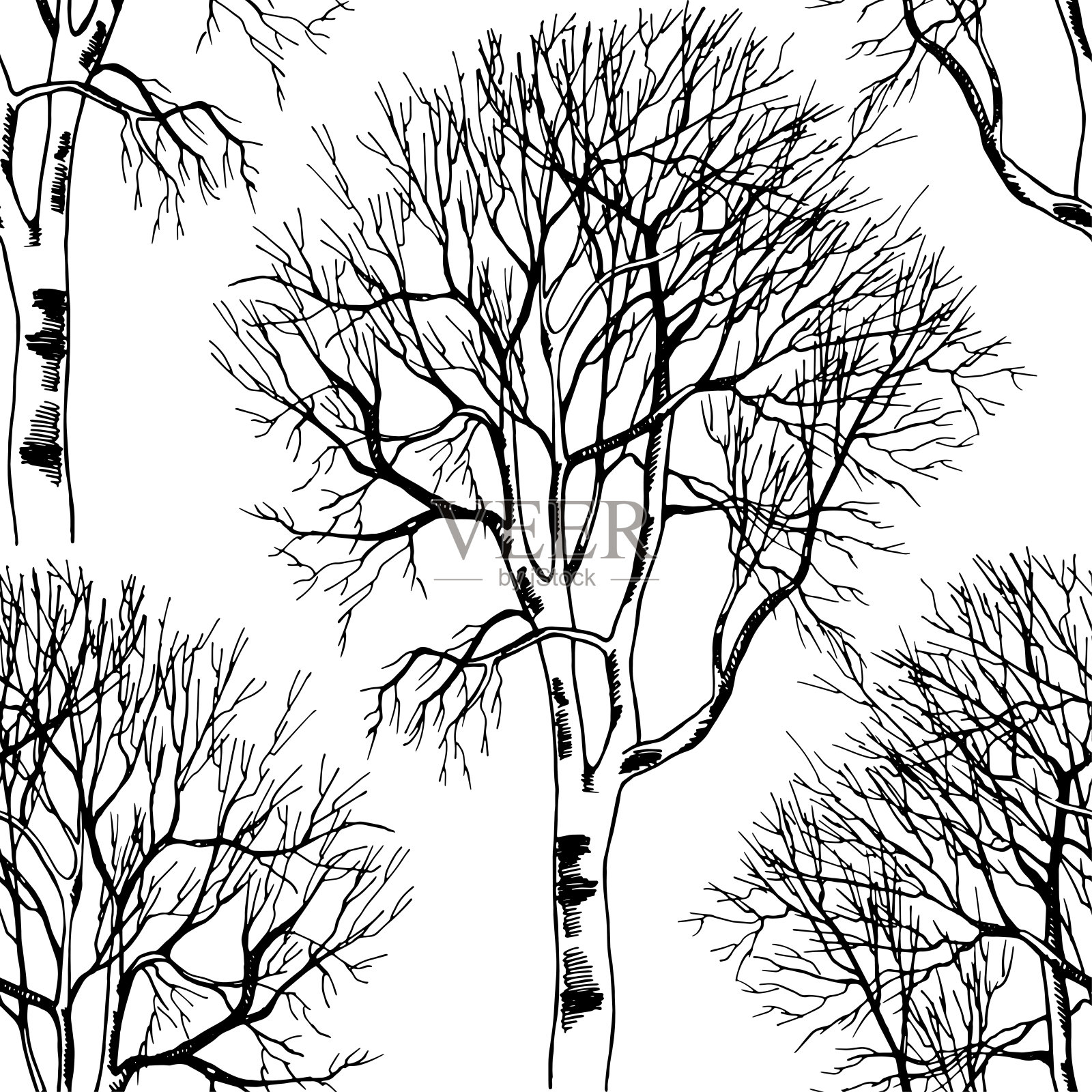 无缝模式桦树裸露的树枝黑色和白色向量插画图片素材