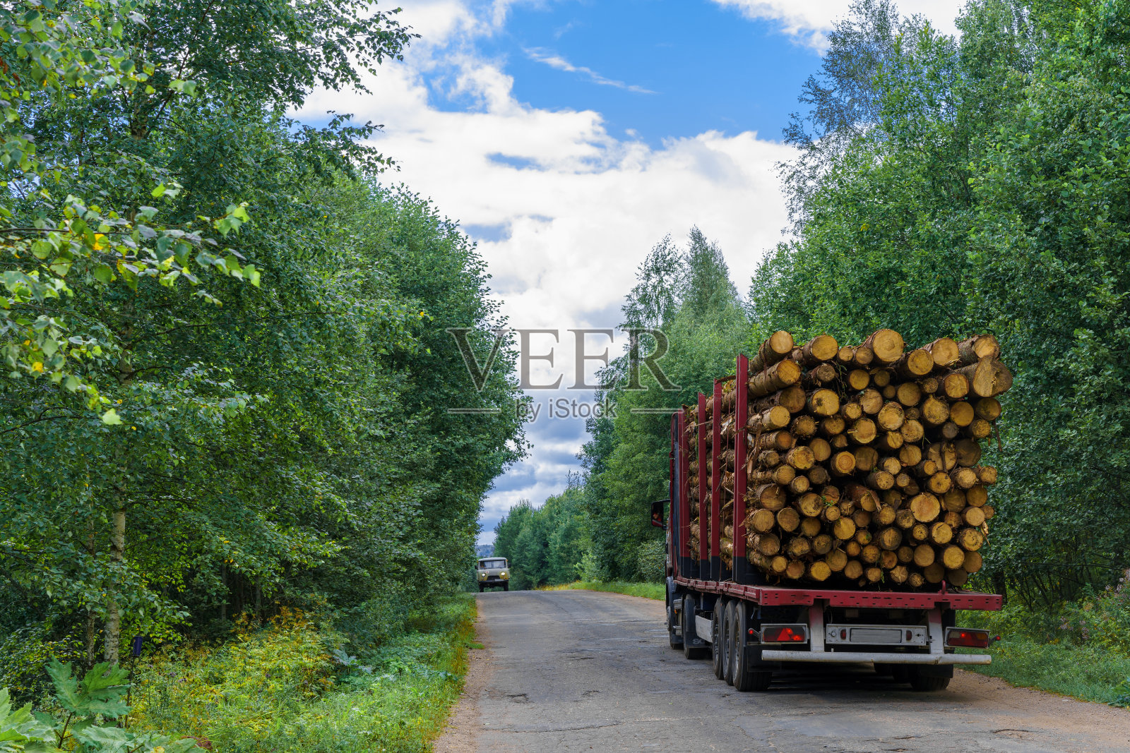 林业工作:清除树干。为加工而去除木材。木工和家具制造业的工业伐木。生态与森林砍伐照片摄影图片