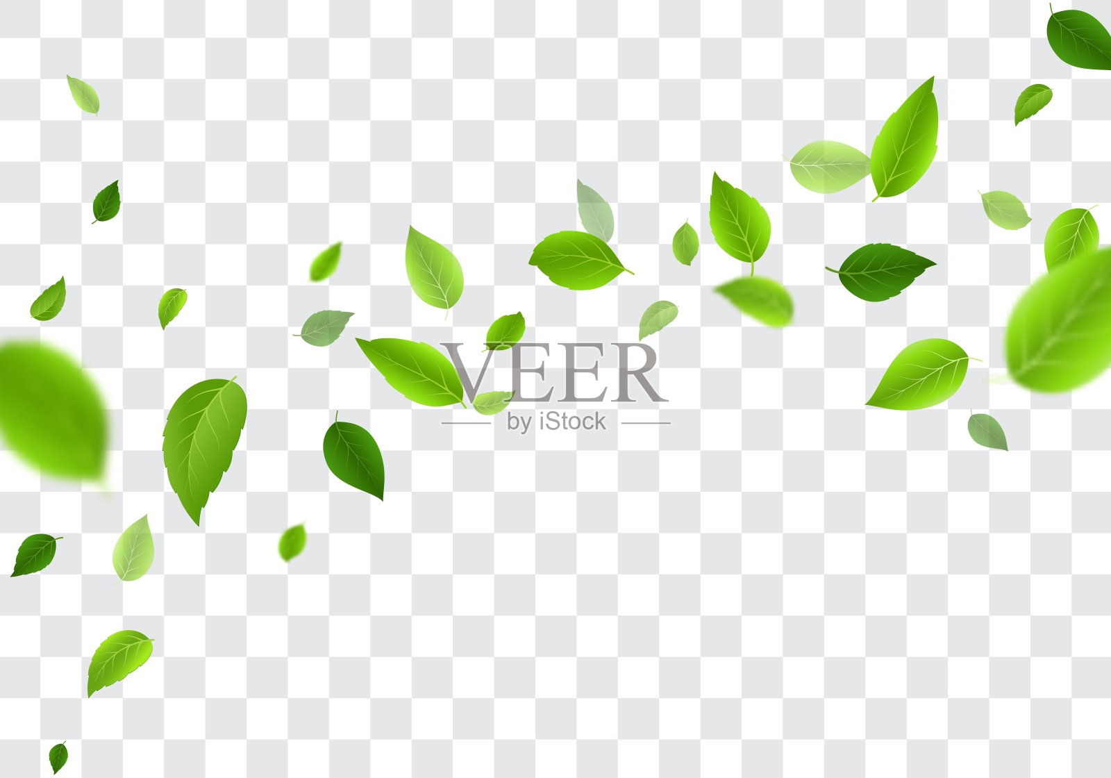 透明背景上飘落的绿树叶插画图片素材