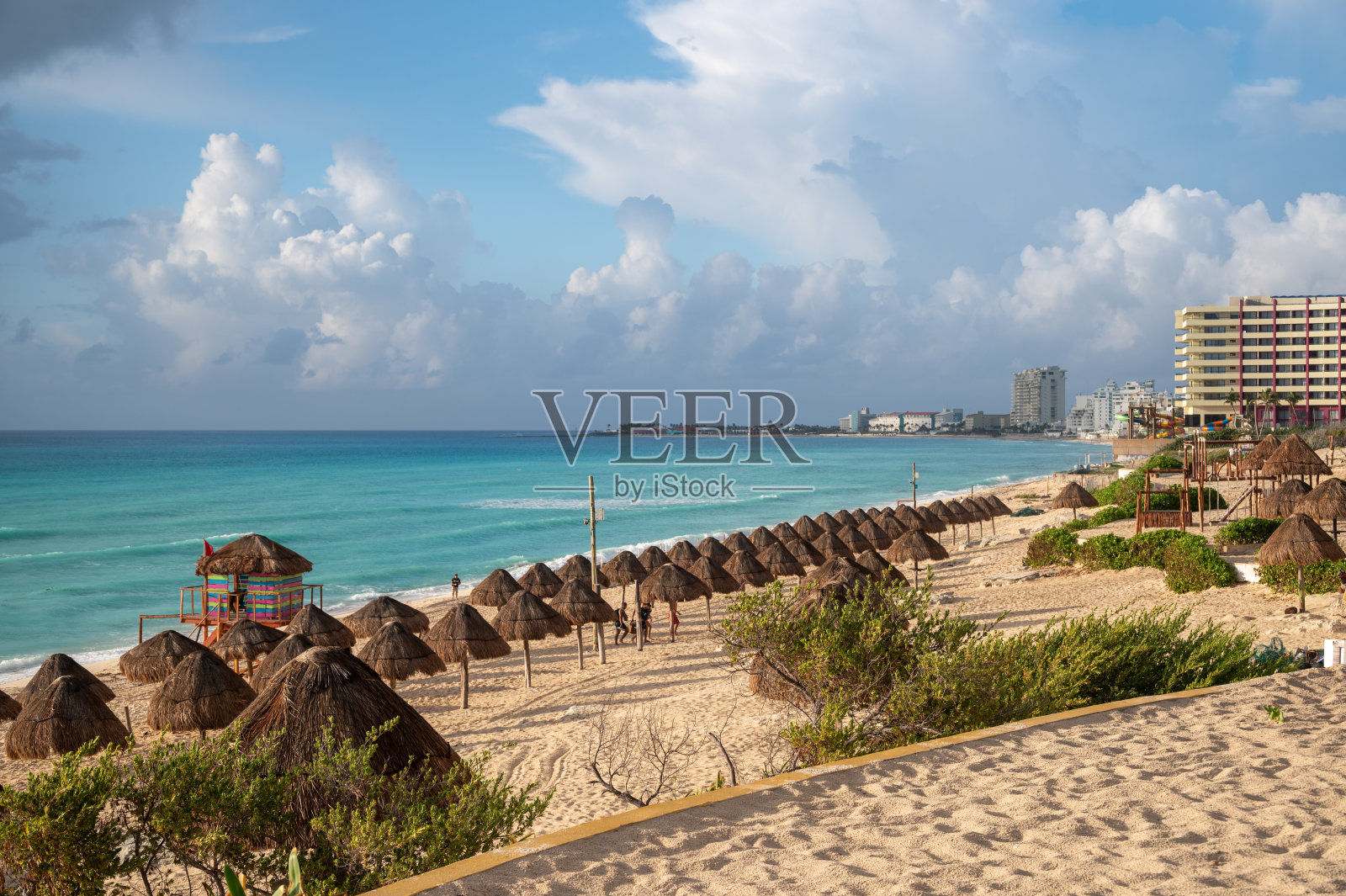 坎昆的海豚海滩照片摄影图片