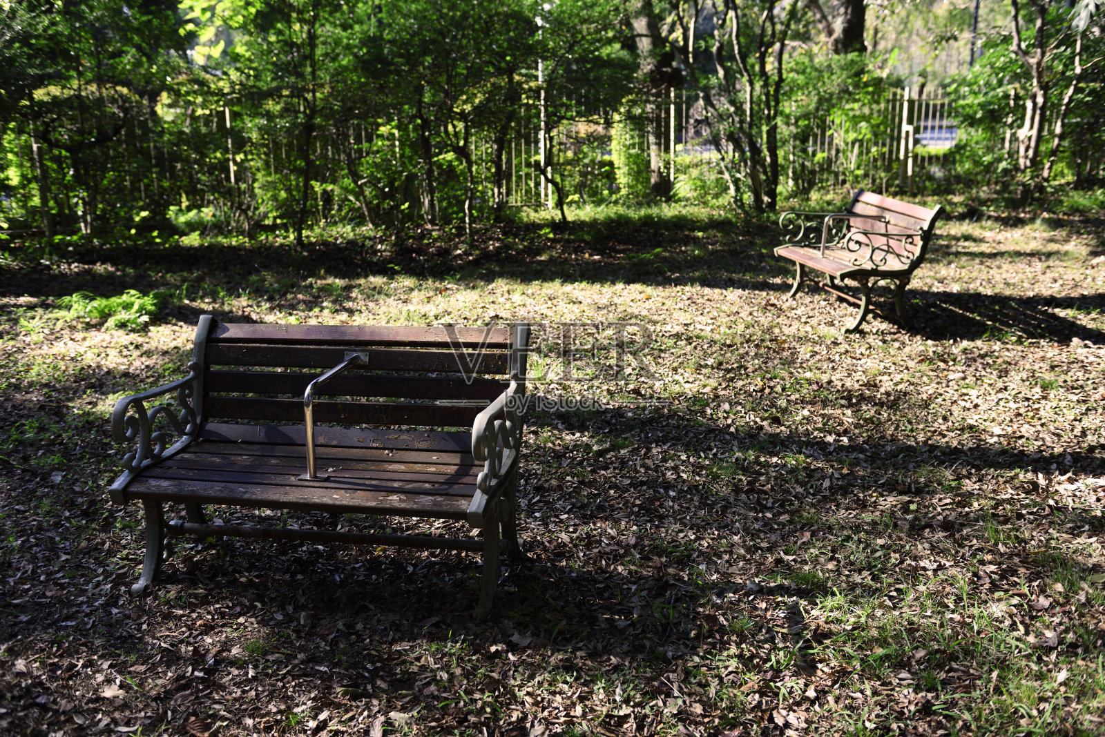公园的长椅上照片摄影图片
