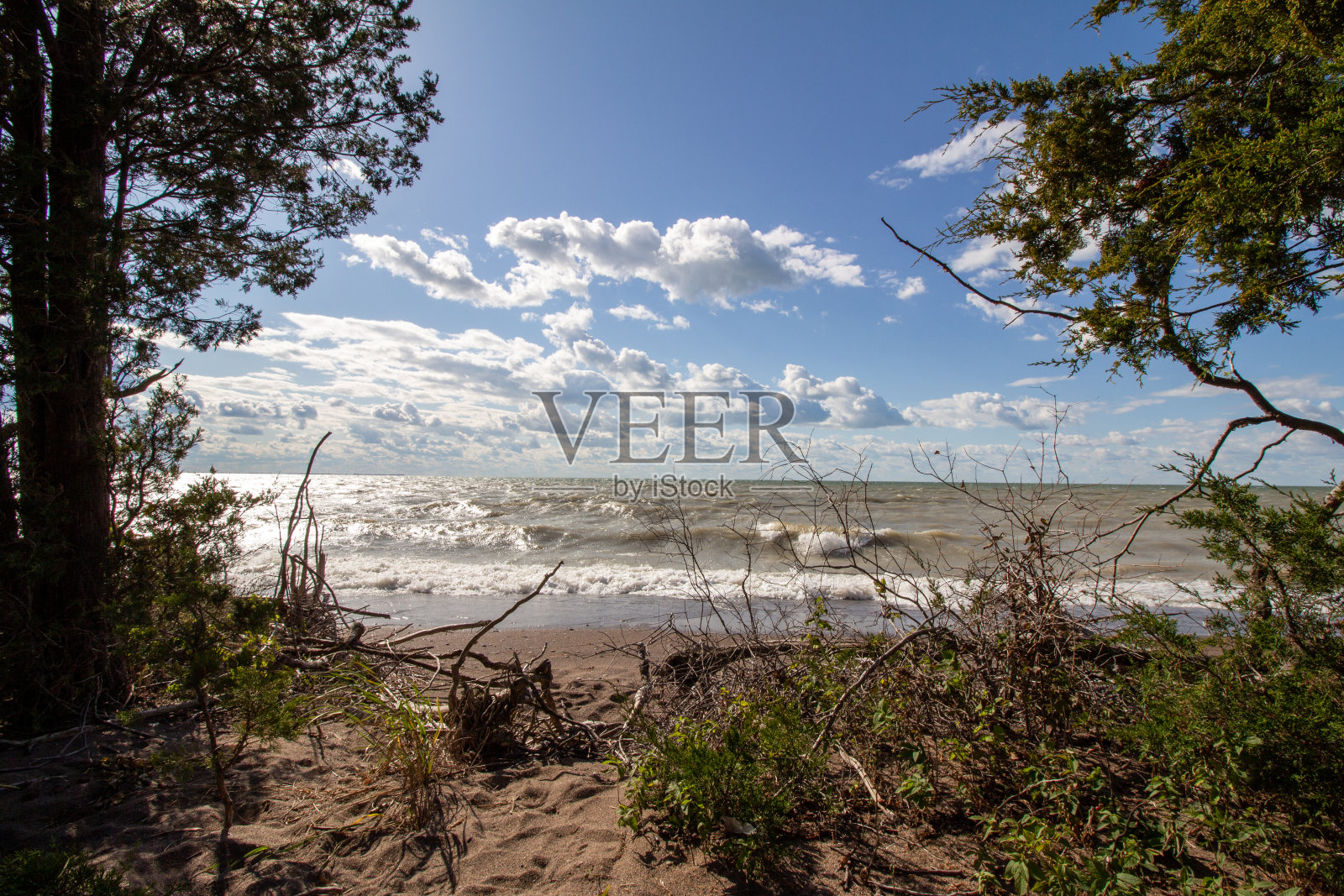 贝利角国家公园照片摄影图片