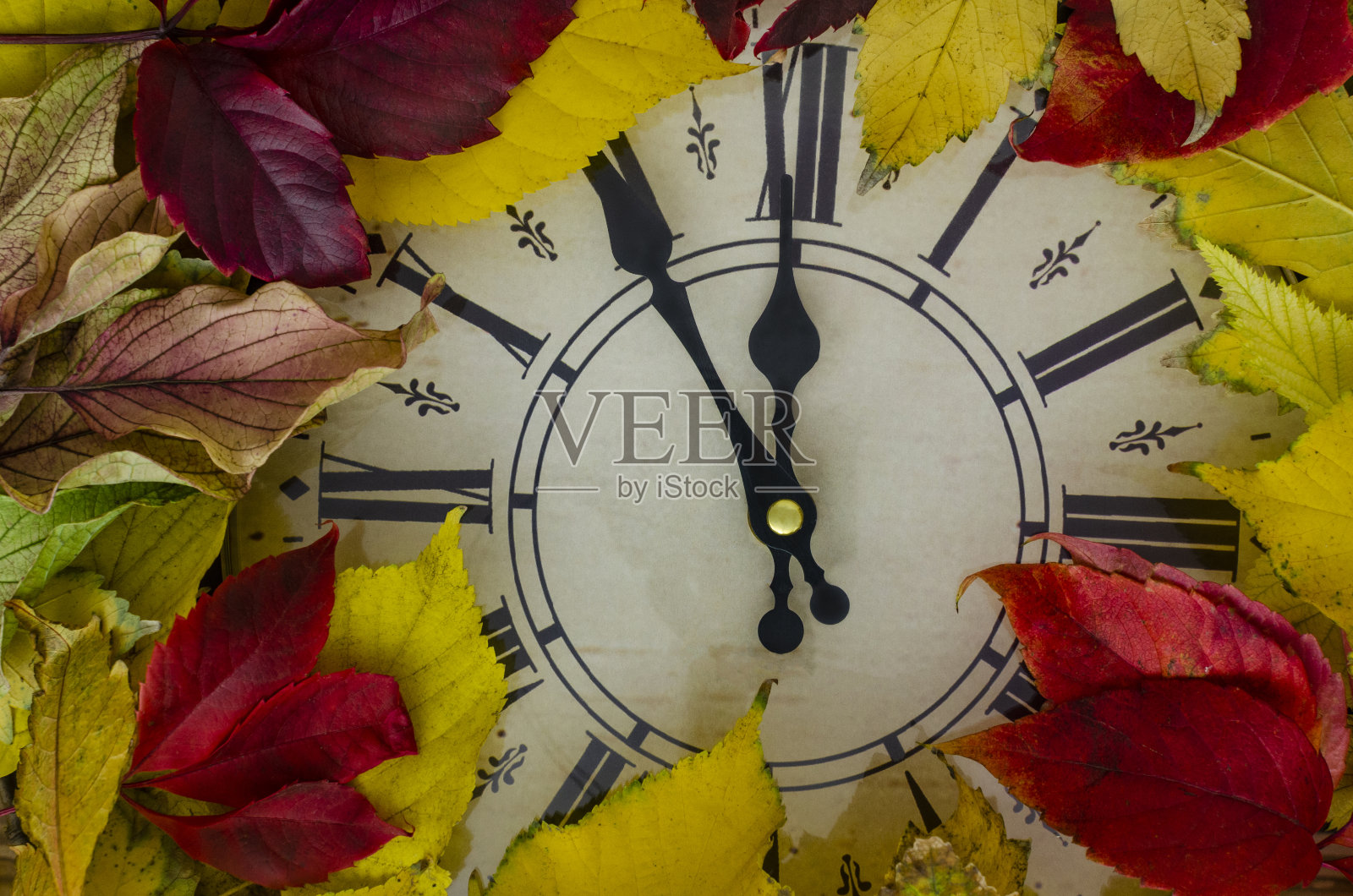 以落叶为背景的时钟照片摄影图片