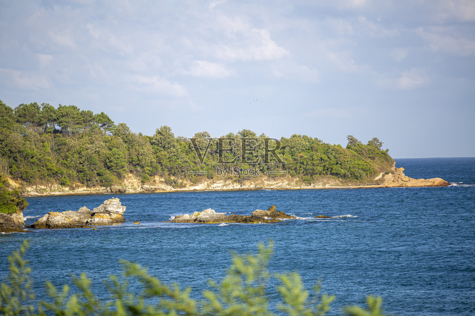 美丽的海岸线，碧绿的海水和绿色的大自然照片摄影图片