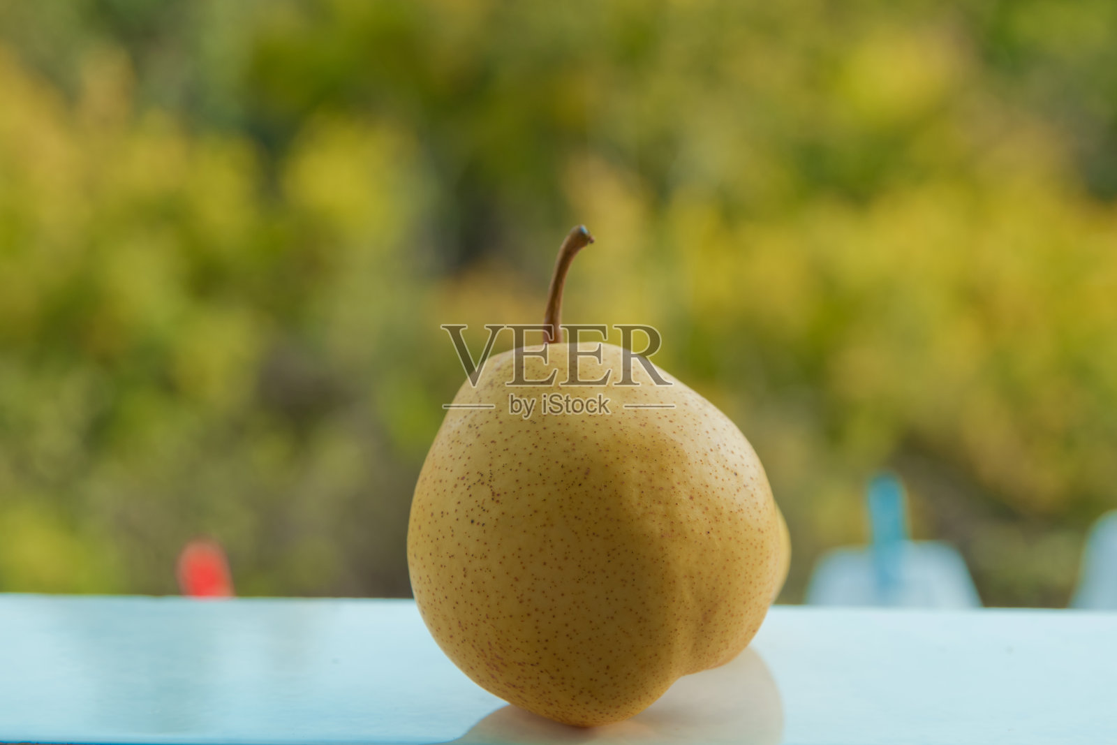 黄色的梨和绿色的植被背景。梨子孤立在绿色背景上照片摄影图片