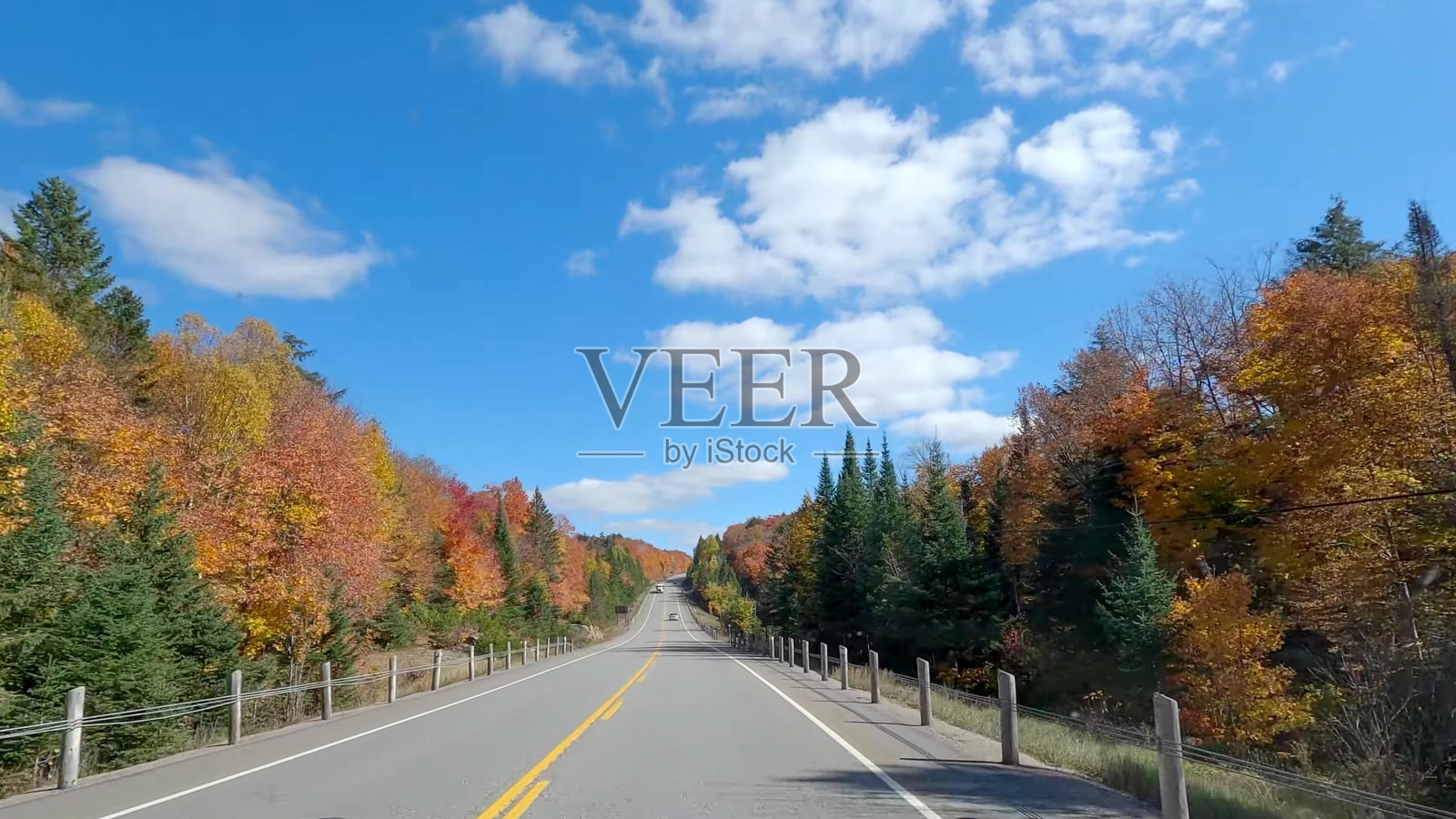 阿尔冈金省立公园照片摄影图片