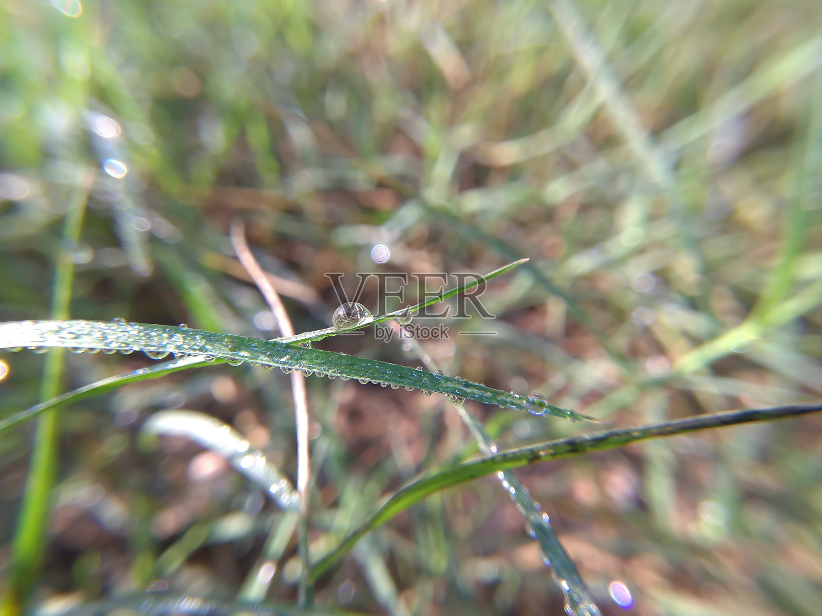 水滴照片摄影图片