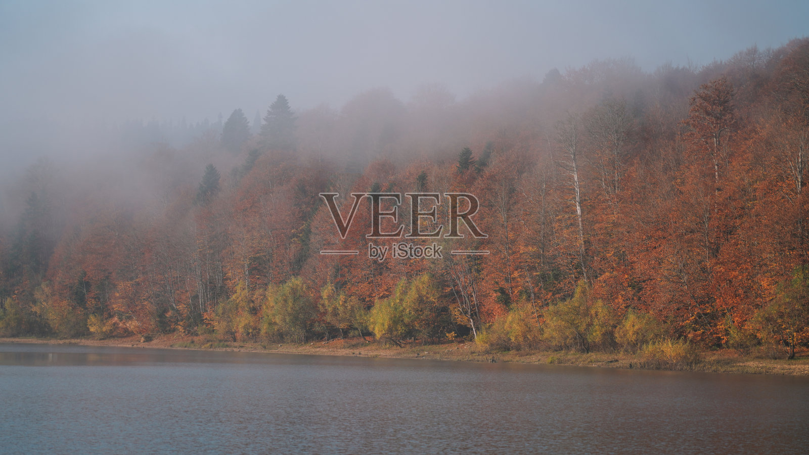 湖边的秋色照片摄影图片