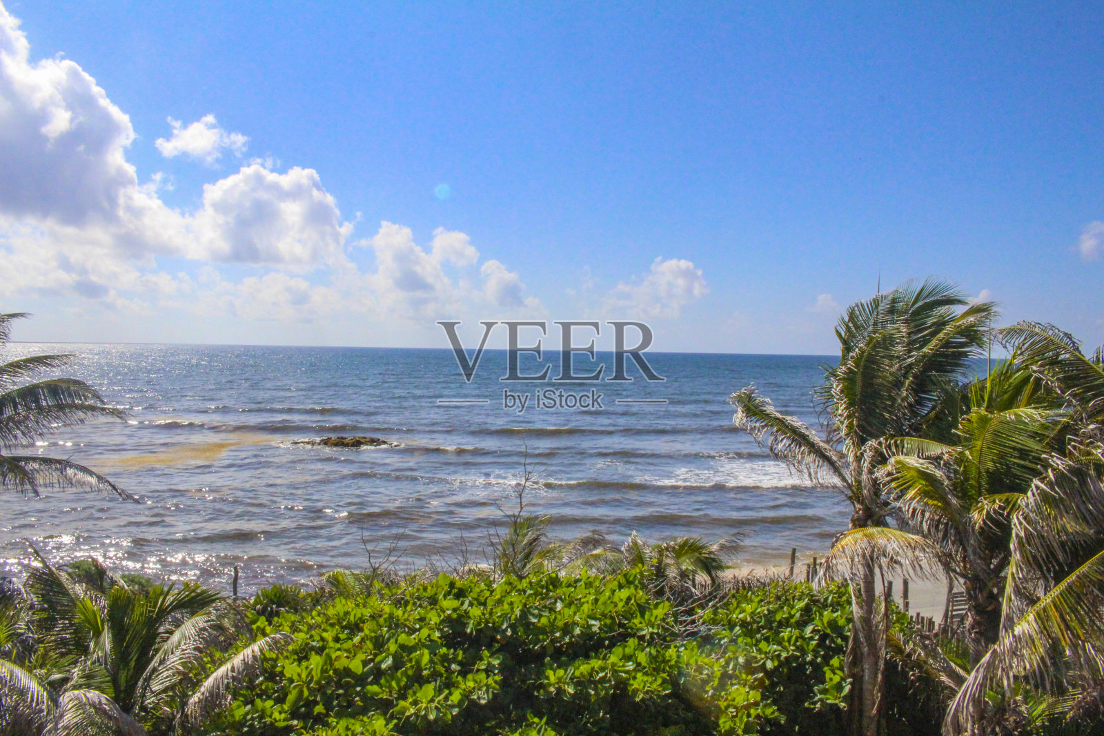 墨西哥图卢姆海滩，阳光棕榈树照片摄影图片