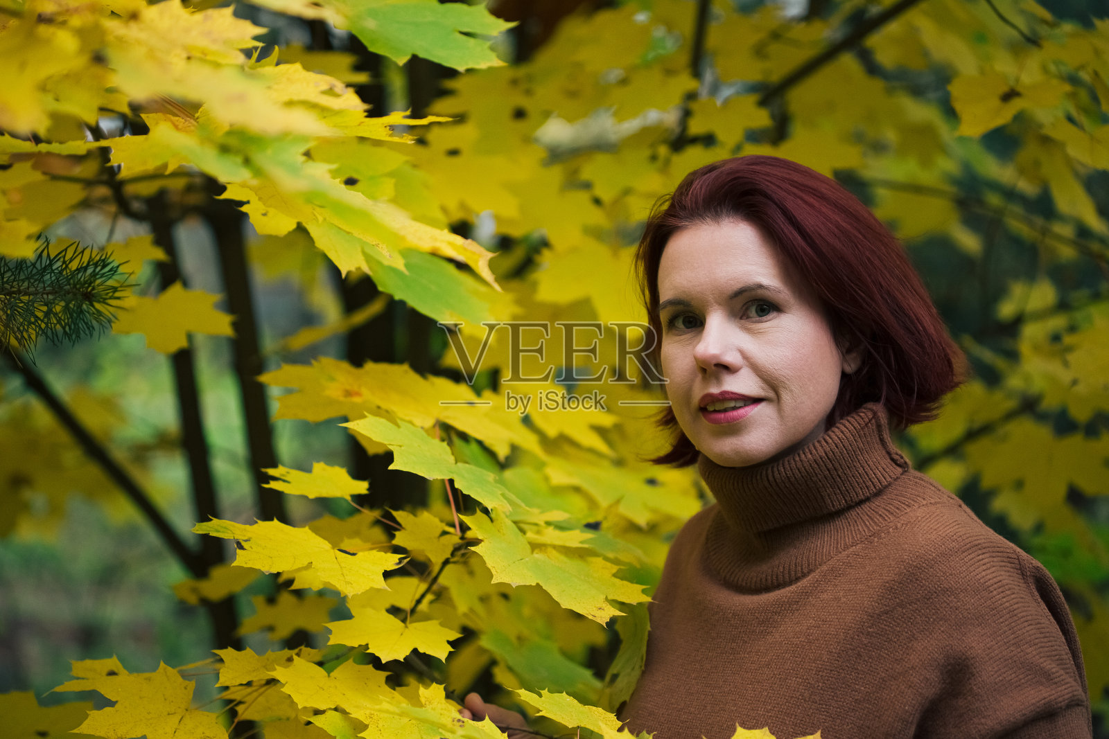 《一个成熟女人的肖像》，在秋天黄色的森林树木的衬托下照片摄影图片