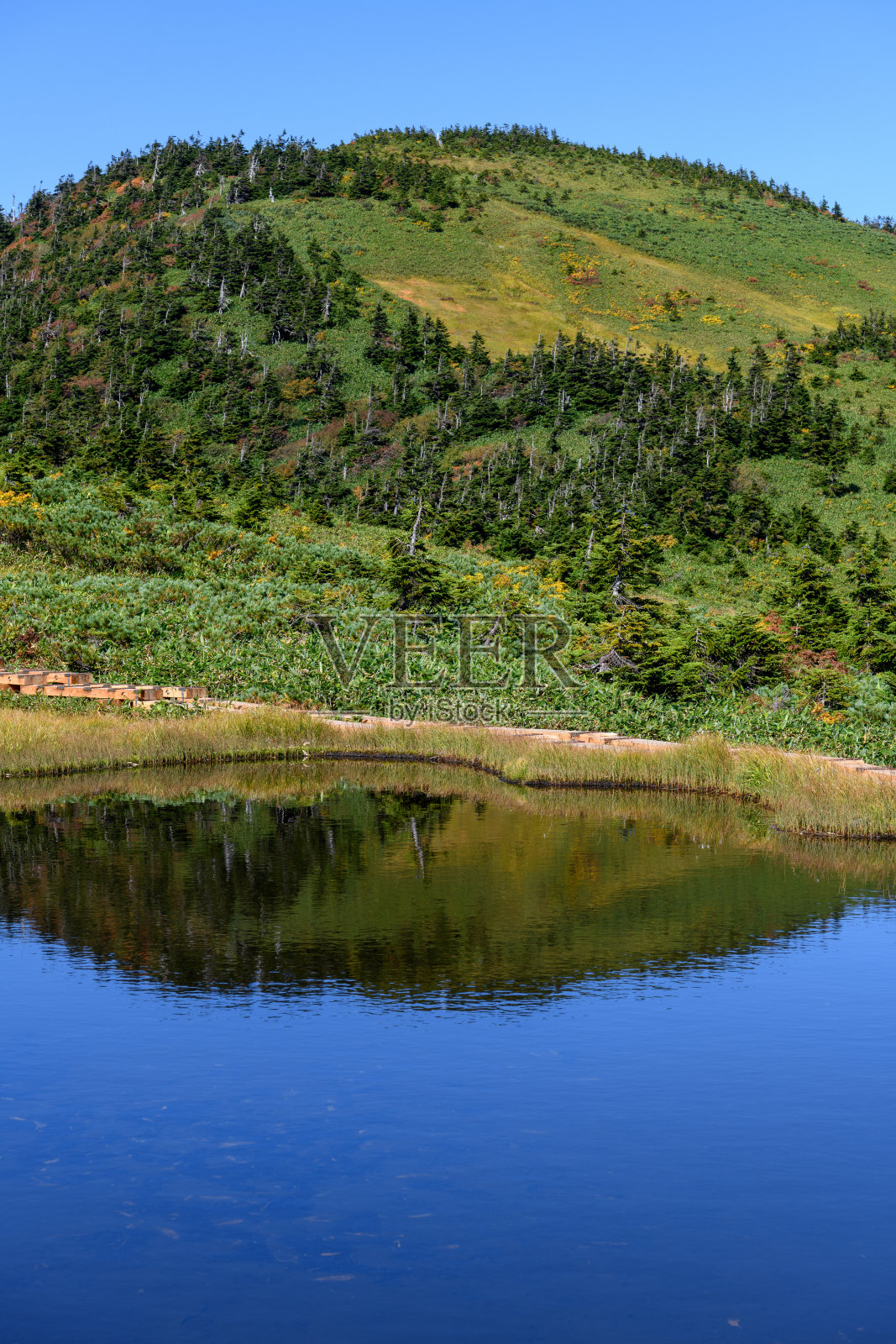 早秋的井驹山和池塘照片摄影图片