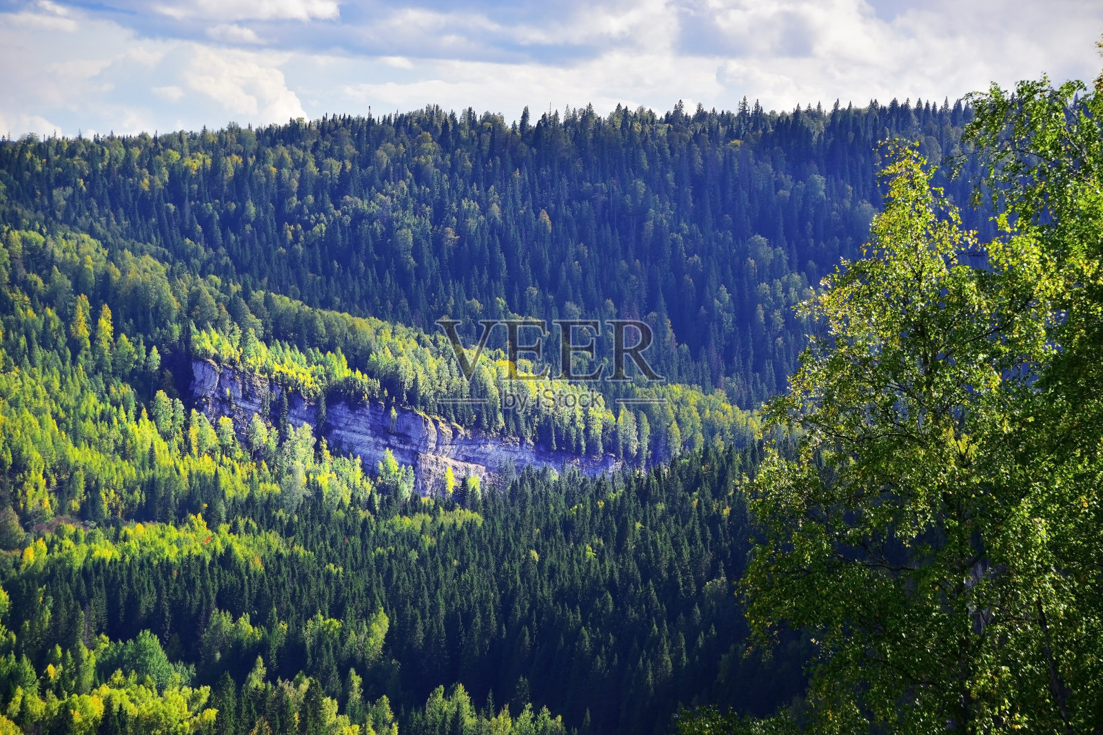 全景石和原木石照片摄影图片
