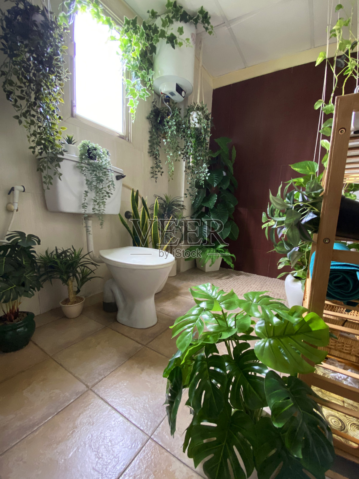 雨林雨林主题的浴室湿房图像，白色的卫生间套件，瓷砖地板，木制货架单元，毛巾和洗漱用品照片摄影图片